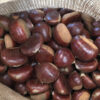 vendita castagne - saporedicastagne.com